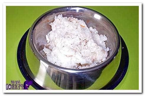 serving of rice with chicken