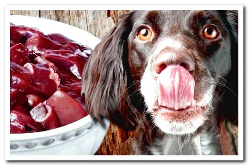 Vitamins for dogs from natural foods