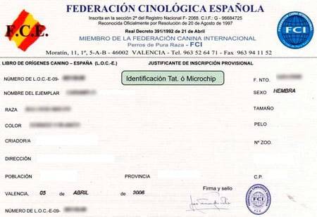 pedigree certificate