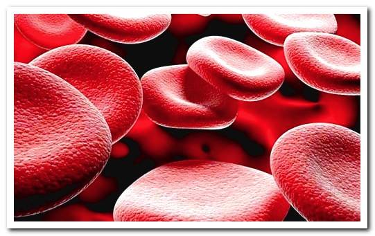 Red blood cells