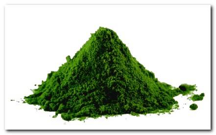 Spirulina for dogs