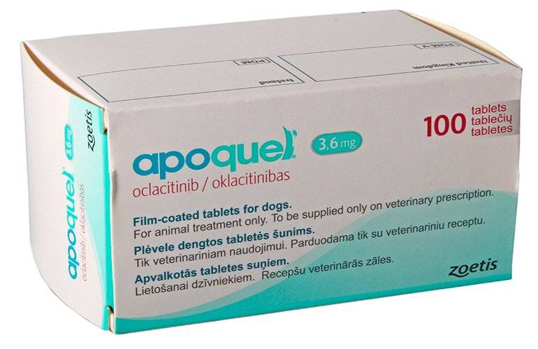 Apoquel for dogs What is it and what are its side effects?