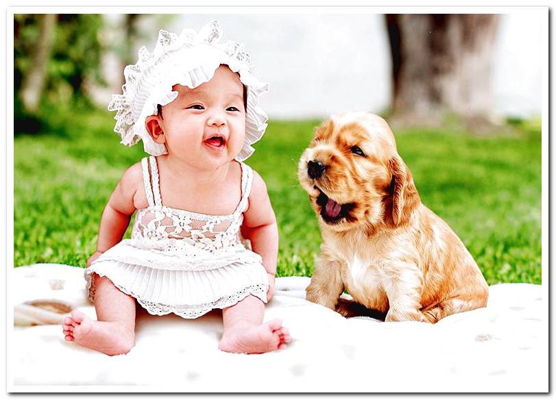 baby-enjoying-the-company-of-a-puppy