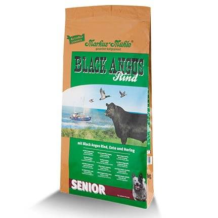 black-angus-senior