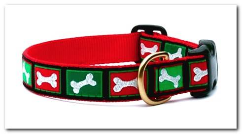 classic dog collar