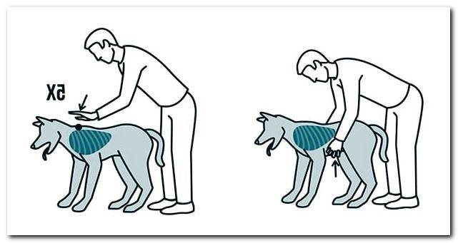 maneuver to help a choked dog