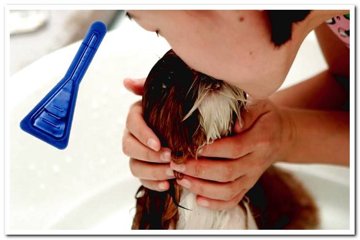 dog-in-the-tub