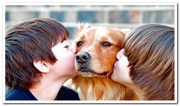 dog with children