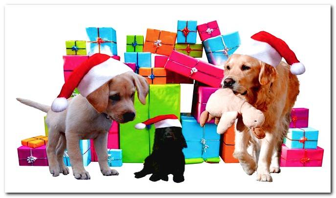 dogs-with-gifts