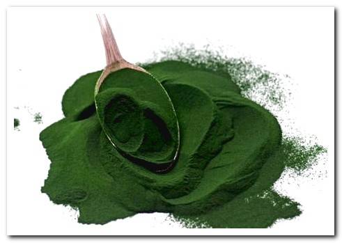 spirulina dosage