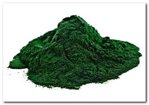 Dehydrated spirulina