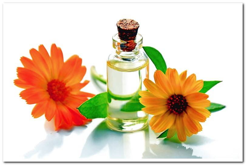 essential-oil-extract