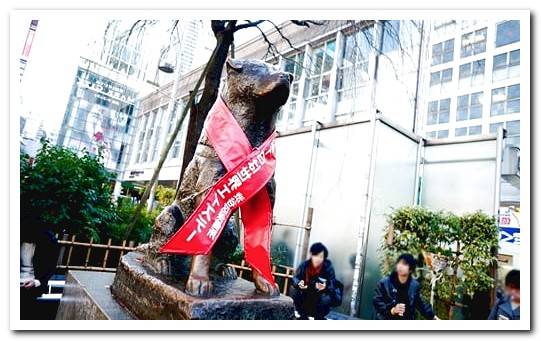 hachiko statue