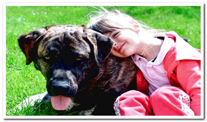 little girl hugging her therapy dog