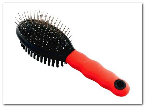 long haired dog brush