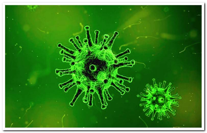 microscopic virus