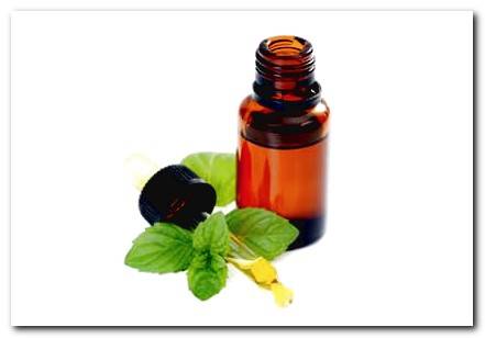 peppermint as a natural flea repellent