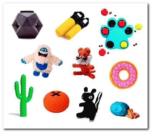 What are the best dog toys?