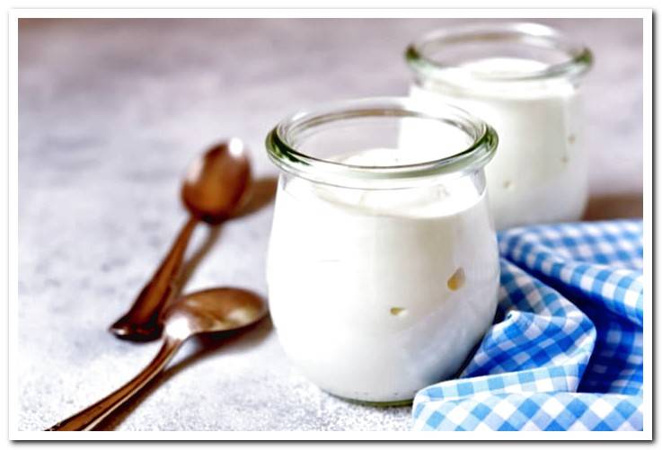 yogurt-natural