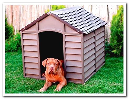 plastic doghouse