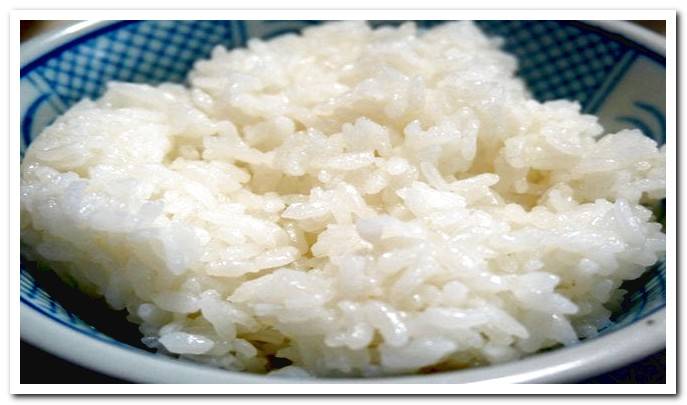 cooked white rice on a plate