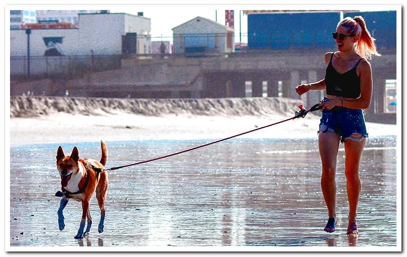 woman-running-with-a-dog