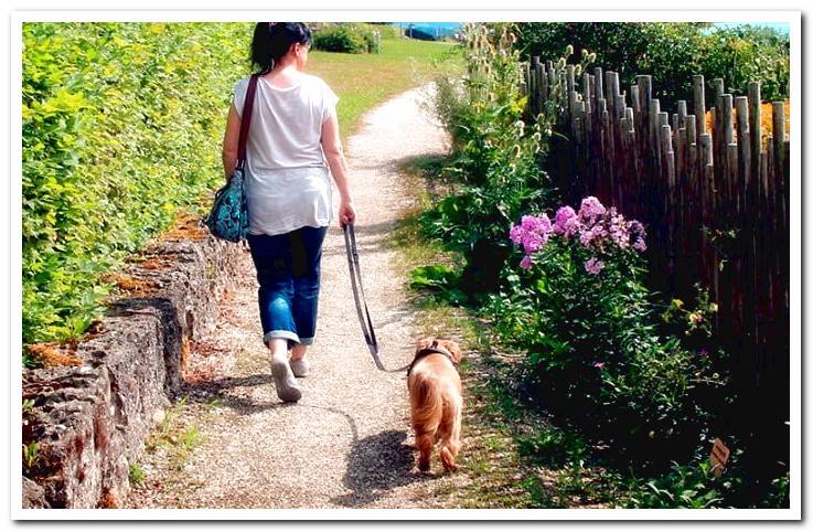 woman-walking-with-her-dog