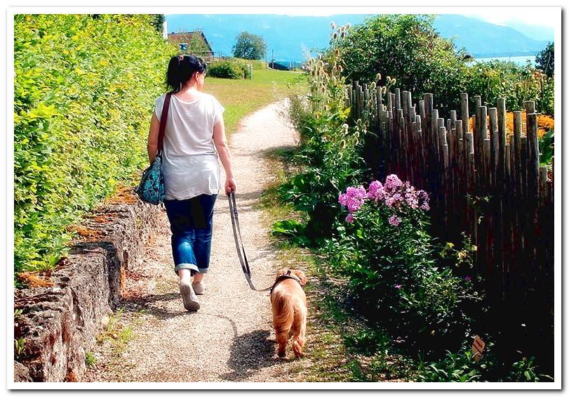 woman-walking-her-dog