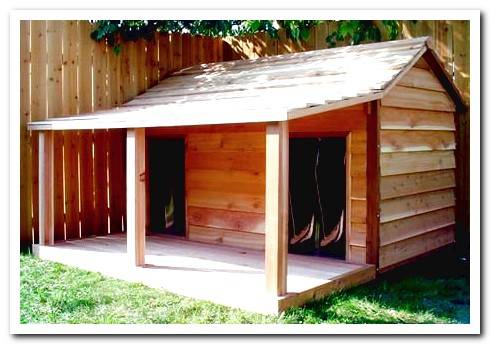 Wooden doghouse